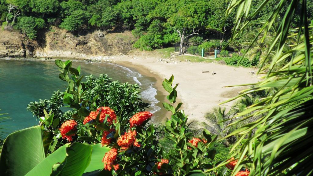 Anse Figuier Gites De France Terre-De-Haut Room photo